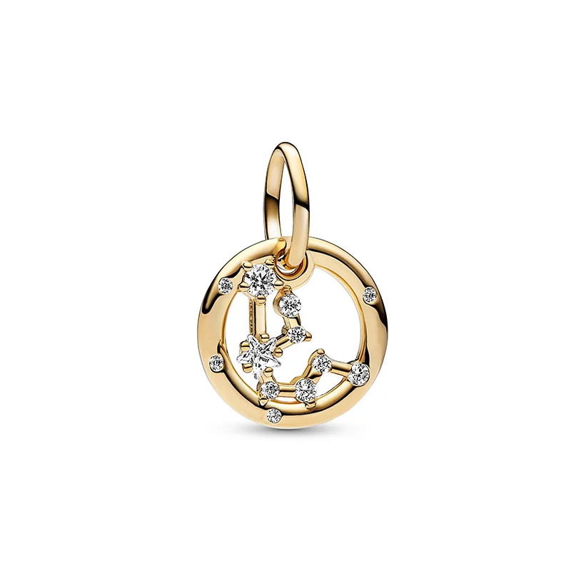 Wassermann Münzen Charm Silber | Spirit of Liebs Wassermann Münzen Charm Silber | Spirit of Liebs